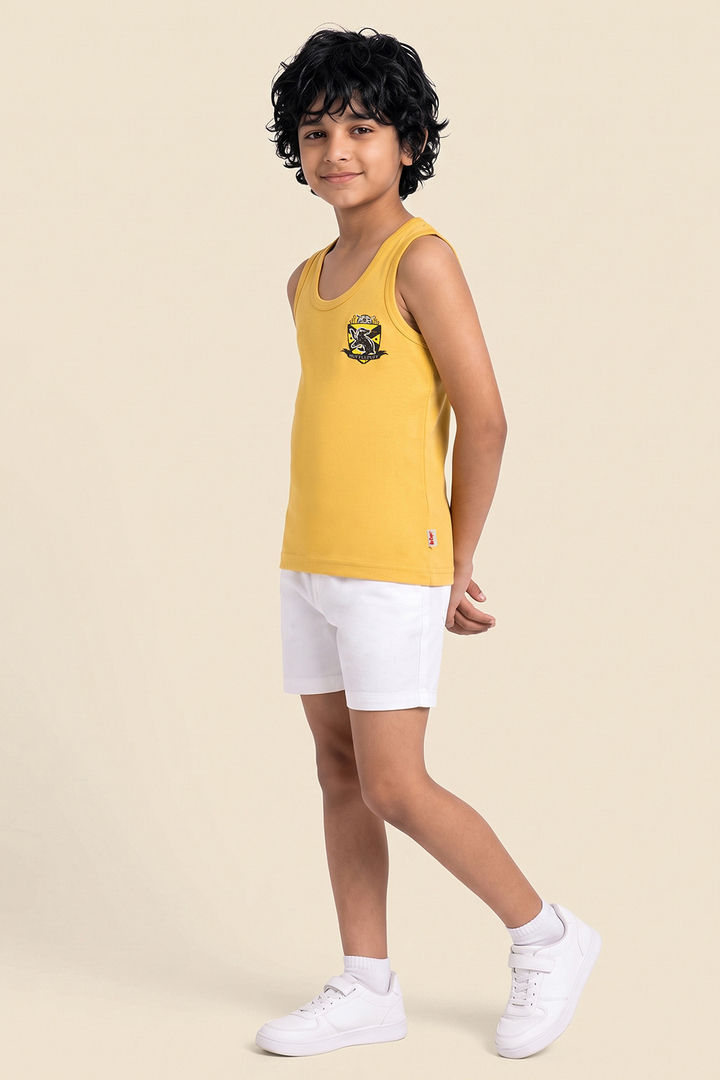 Lee Cooper Boys Harry Potter Vest (Pack of 2) - Multicolor — image 8